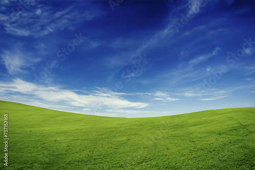 green field and blue sky © Robert Kiyosaki