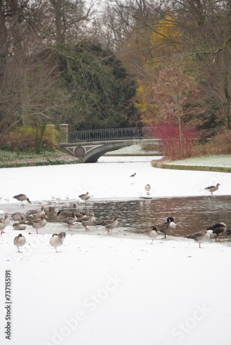 Photography Vibrant nature in Denmark