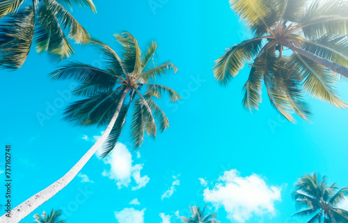 Palm trees against the background of a blue bright cloudless blue sky. Tropical plant, view from bottom to top. Beautiful tropical background with trees © Mariia