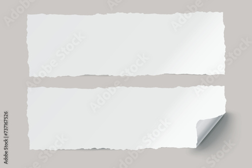 Vector white realistic paper adhesive horizontal stickers with curved corner and grain texture on transparent background. photo