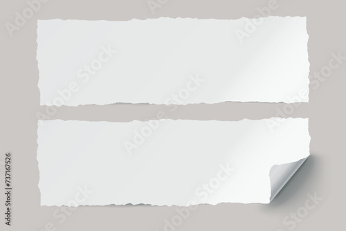 Vector white realistic paper adhesive horizontal stickers with curved corner and grain texture on transparent background.