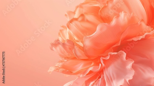 a close up of a large flower on a pink background with a blurry image center flower. photo
