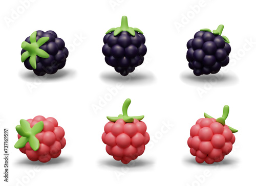 Realistic blackberry and raspberry. Ripe colored berries in different positions
