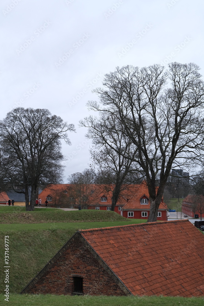 Maisons rouges et arbres
