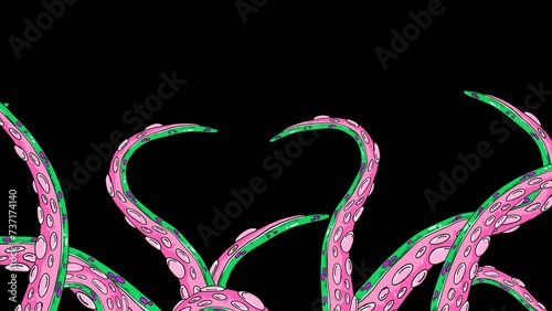 Animated tentacles move fluidly and dynamically. Pink octopus tentacle.  Transparent 4K Alpha Channel.  Seamless loop. Perfect for movies, pattern, ornament, presentation.