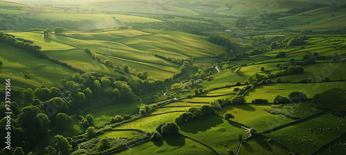 top view of green fields and meadows in the countryside