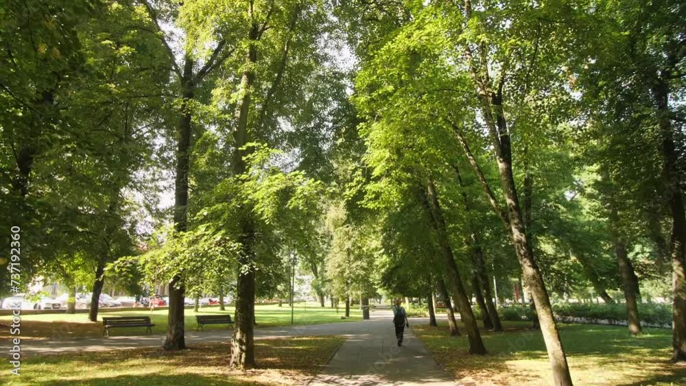 Slow-motion view of a woman walking in a city park in summer. Slow-motion view of a woman walking in a city park in summer.