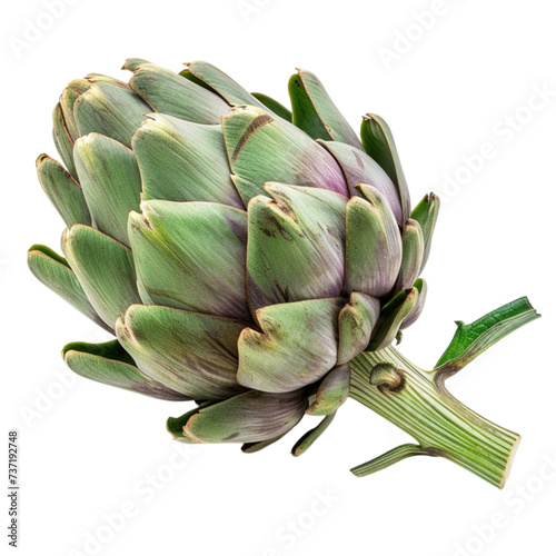 artichoke isolated on a white background with clipping path.