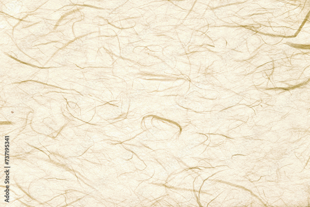 Obraz premium Texture of Korean traditional crafts paper
