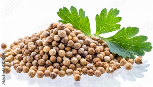 coriander seeds isolated on transparent png