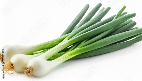 green onion isolated on the white background with full depth of field