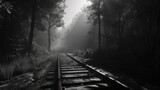 a black and white photo of a train track in the middle of a forest with fog coming from the trees.