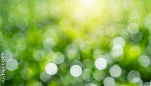 green texture background bokeh background blur concept abstract unfocused blured bokeh of fresh nature healthy or bio concept