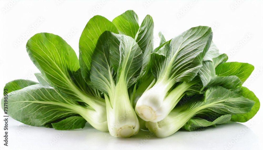 fresh green bok choy chinese cabbage isolated on white background - obrazy, fototapety, plakaty 