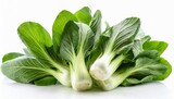 fresh green bok choy chinese cabbage isolated on white background