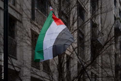 London, England - Jan 13 2024: Pro Palestine Rally  March. Single Palestinian flag 