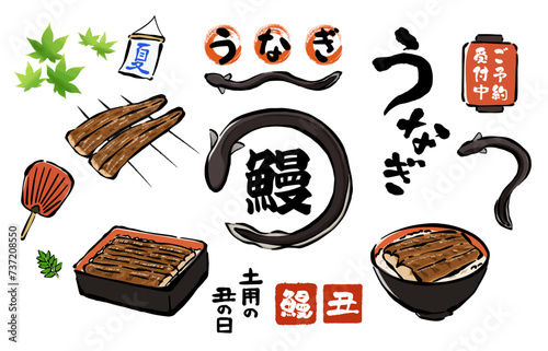 鰻の筆文字風イラスト素材 土用の丑の日セット