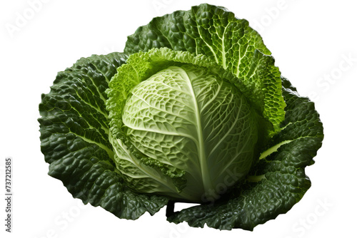 savoy cabbage isolated against, Isolated on transparent PNG background, Generative ai