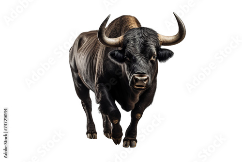 a bull facing forward  Isolated on transparent PNG background  Generative ai