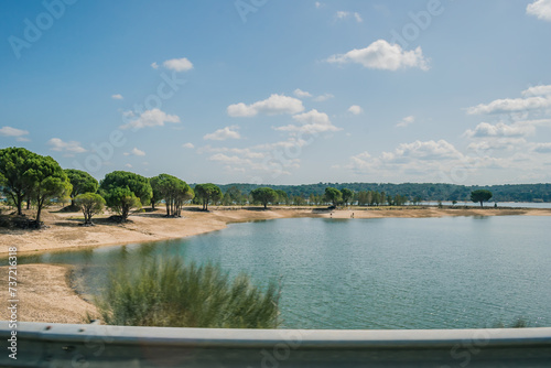 Intentional motion blur of bush next Sorraia river of Montargil dam with pine trees on the bank, Alentejo PORTUGAL