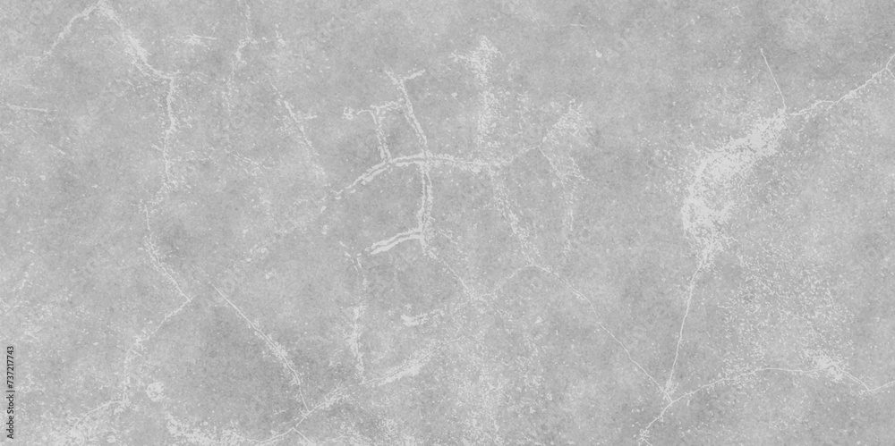 Naklejka premium Abstract dust particle and dust grain texture on white background. Grunge white and light gray texture, Vintage blurred scratched grunge on isolated background. Light gray snow pattern, marble textrue
