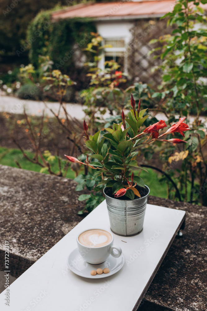 One cup of cappuccino with latte art on small table, white ceramic cup, place for text. Terrace with a table in a cafe or at home, Potted flowers, outdoors