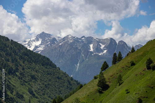 Adamello Mount seen from Valle di Viso - Ponte di Legno - Italy