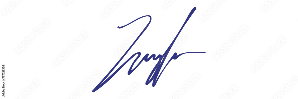 Fake personal autograph. Hand written, blue ink. Vector