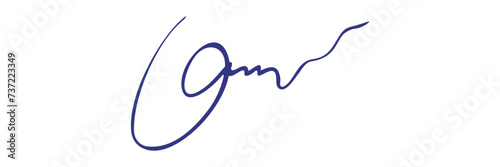 Fake personal signatures. Hand written, blue ink. Vector