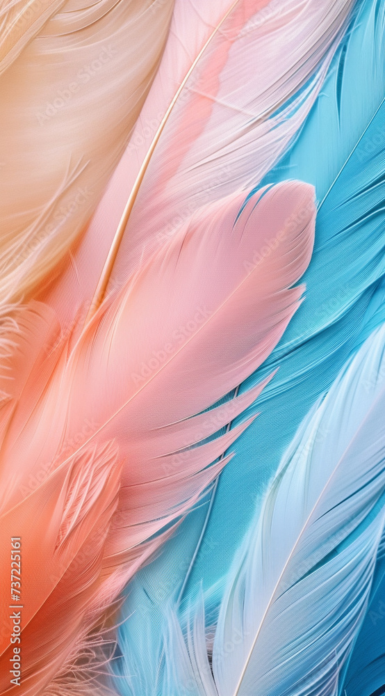 feathers wallpaper,