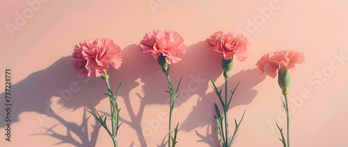 Elegant Carnations  A Dance of Blossoms on a Soft Pink Canvas
