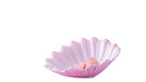 Shell of an ark isolated pastel, Isolated on transparent PNG background, Generative ai