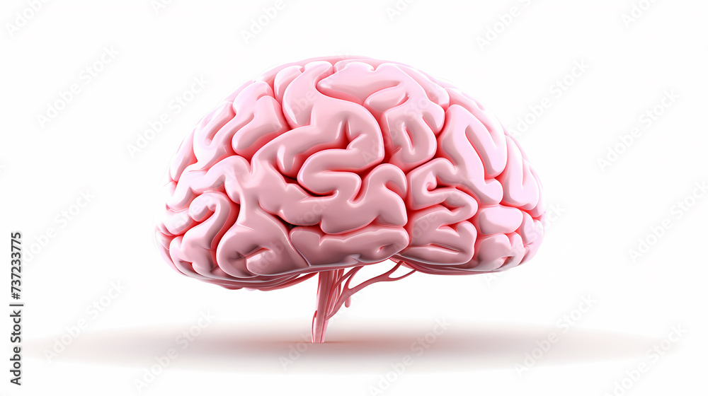 Brain structure and function, science and health Brain structure and function, science and health