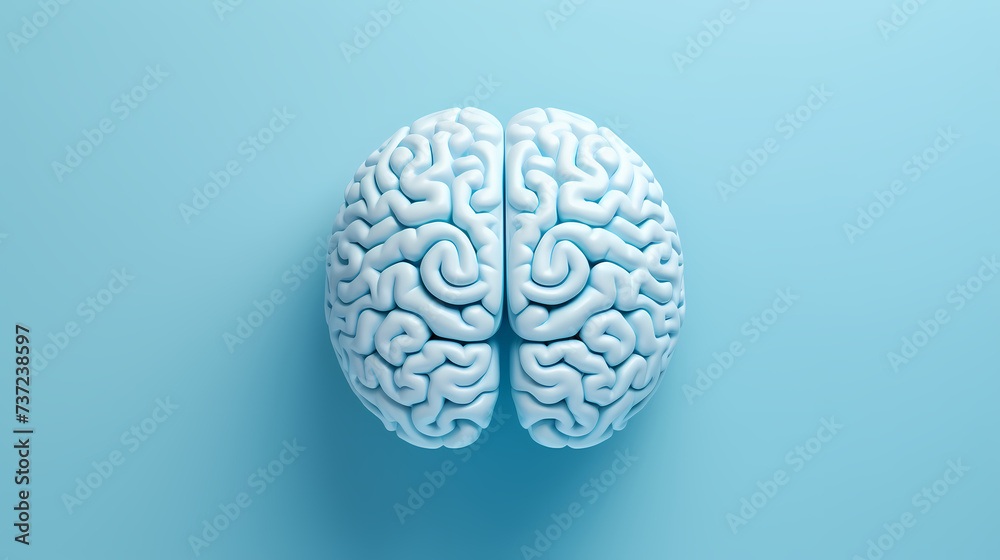 Brain structure and function, science and health Brain structure and function, science and health
