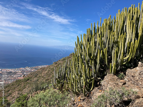 Scenic view of Los Cristianos and Miraverde from mountain Roque del Conde. Hiking in Arona, Tenerife.