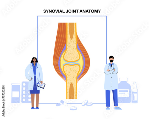 Synovial joint poster