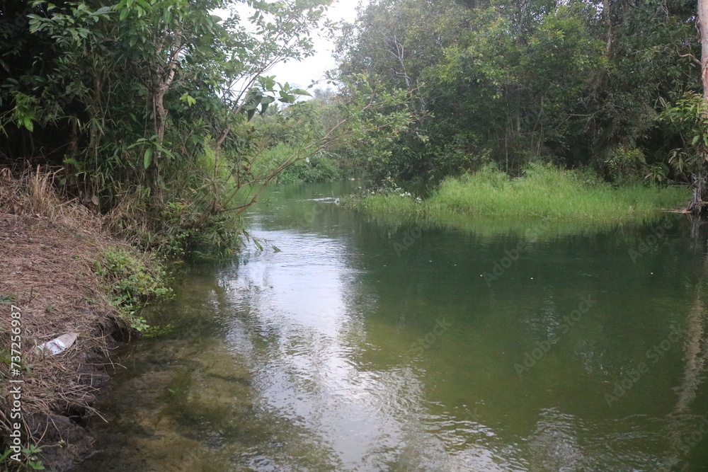 Beautiful natural view of a river in the tropical green forests of Southeast Asia with a forest and white sand background with clean and comfortable air Beautiful natural view of a river in the tropical green forests of Southeast Asia with a forest and white sand background with clean and comfortable air