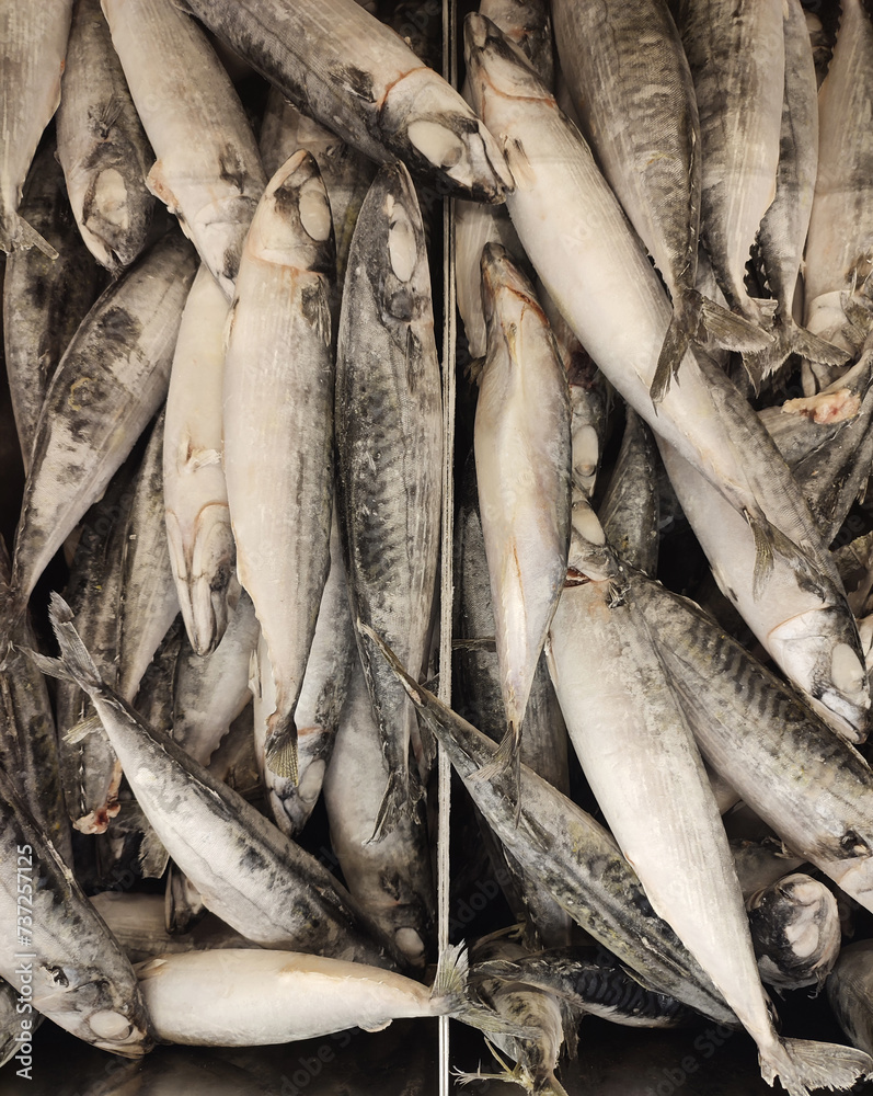 Obraz premium fresh fish on ice