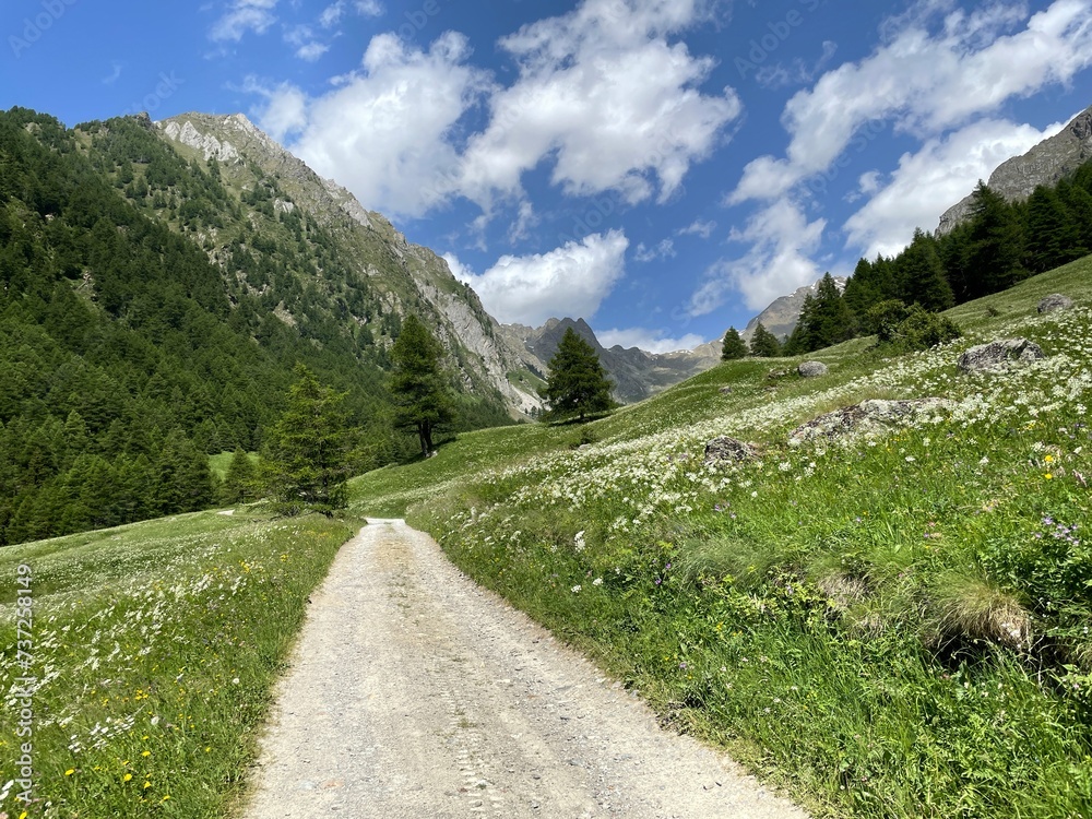 Val Canè near Val Camonica and Ponte di Legno, Lombardy, Italy