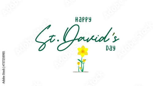 Happy St. David's Day. 
animation video with Beautiful daffodils growing and text. concept video for cards or postcards. St. David's Day 4k video animation photo