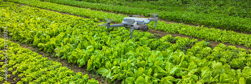 Fotografie Quadcopter drone flying over a green lettuce farm for precision agriculture, mon