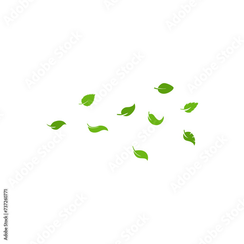 flying leaves illustration 