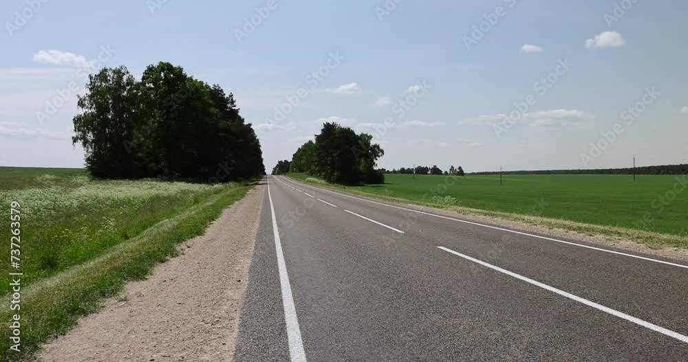 paved road with trees in the forest in sunny weather, trees along the paved road for cars paved road with trees in the forest in sunny weather, trees along the paved road for cars