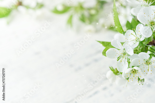 Spring background with white apple or cherry blossoms and wooden background. Easter or Passover spring greeting cards with copy space. Natural plants landscape, ecology, fresh wallpaper concept Mockup