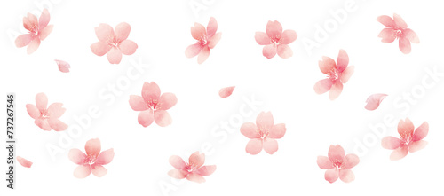 水彩画の春の花　桜のベクターイラスト