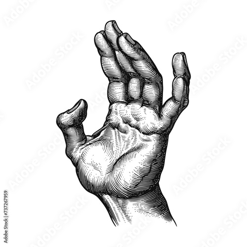 hand gesture in old engraving style for drawing reference