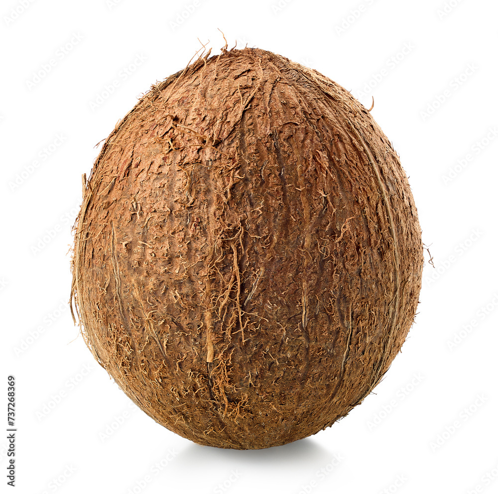 One fresh whole coconut on white background One fresh whole coconut on white background
