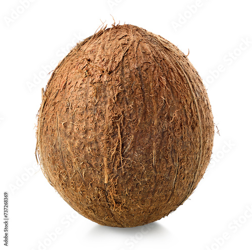One fresh whole coconut on white background