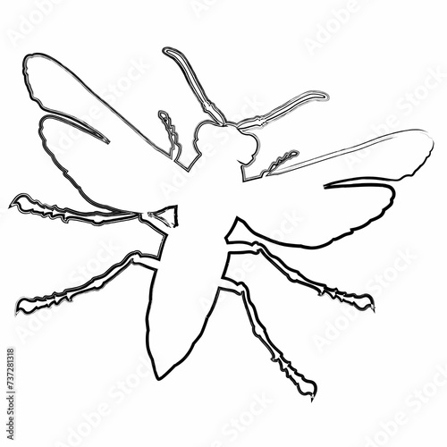 Fly drawing design nature insects.