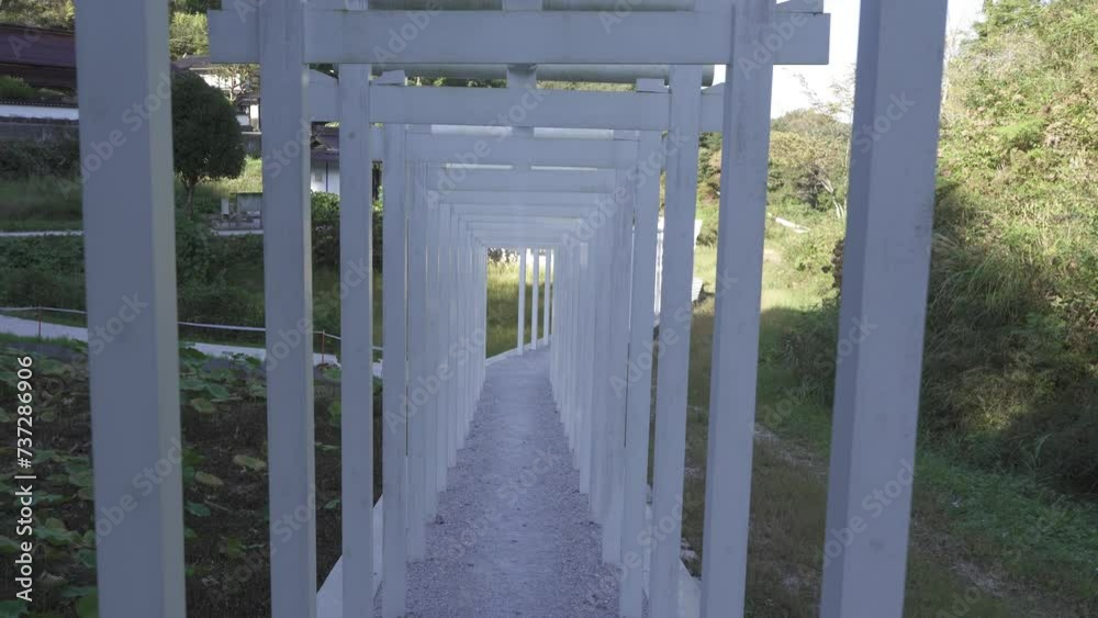 済渡寺の白鳥居の風景 済渡寺の白鳥居の風景
